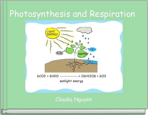 Photosynthesis and Respiration 