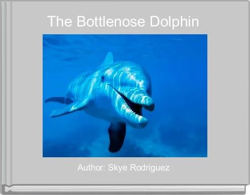 The Bottlenose Dolphin 