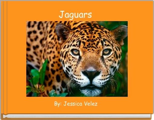 Jaguars 