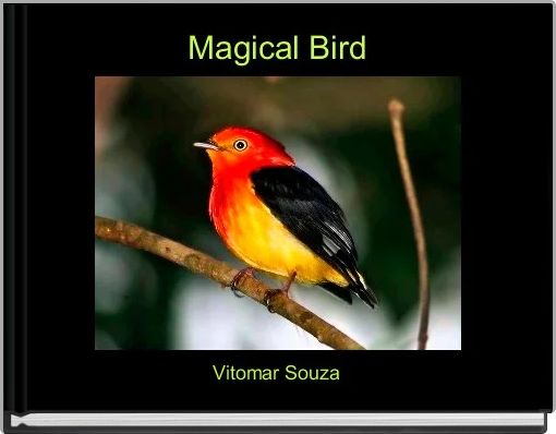 Magical Bird