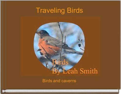 Traveling Birds 