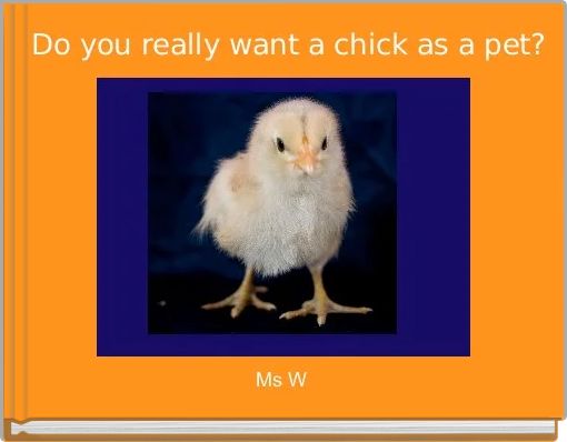  Do you really want a chick as a pet?