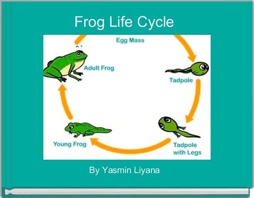 Frog Life Cycle 