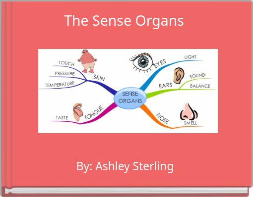 Quot The Sense Organs Quot Free Books Amp Children S Stories