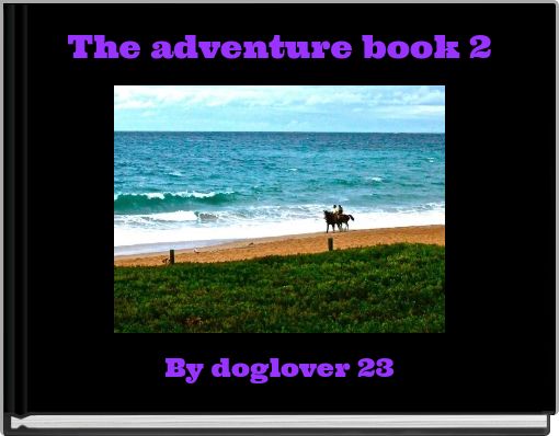 The adventure book 2
