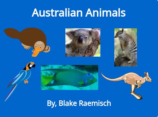 Sociologi Kano rotation Australian Animals" - Free stories online. Create books for kids |  StoryJumper