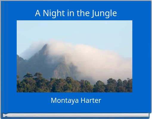 a night in the jungle essay