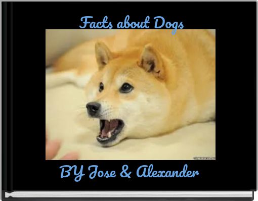 Facts about Dogs