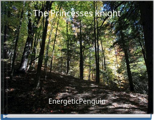 The Princesses knight