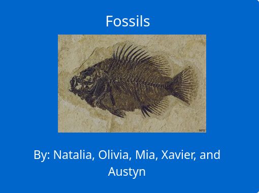"Fossils" - Free stories online. Create books for kids | StoryJumper