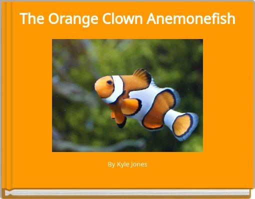 The Orange Clown Anemonefish