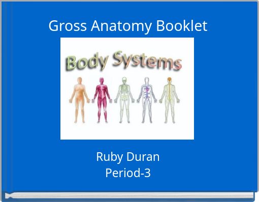 Gross Anatomy Booklet