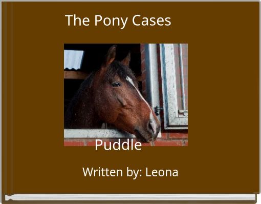 The Pony Cases Puddle