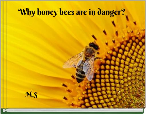 Why honey bees are in danger?