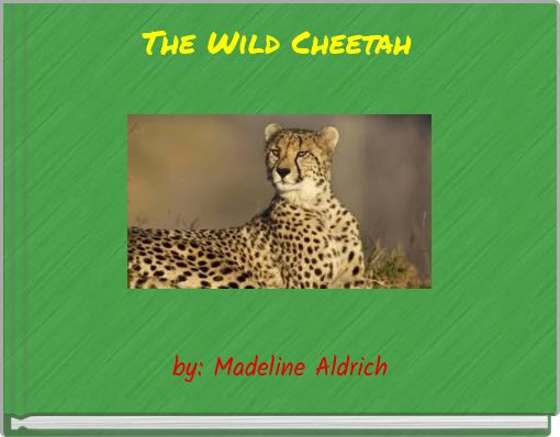 The Wild Cheetah