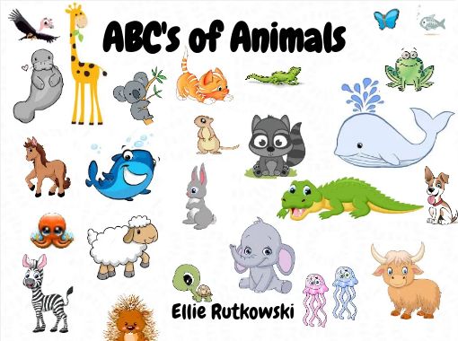 ABC's of Animals