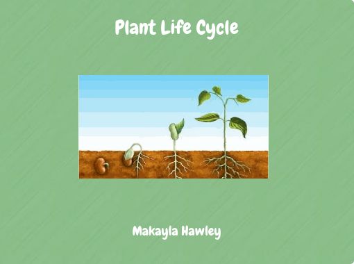 Plant Life Cycle Free Stories Online Create Books For Kids Storyjumper