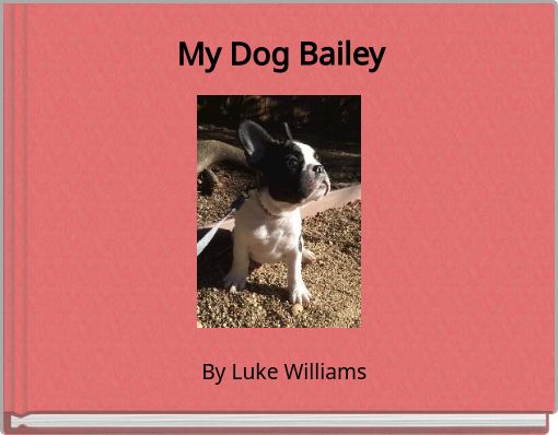 My Dog Bailey