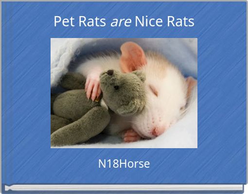 Pet Rats are Nice Rats