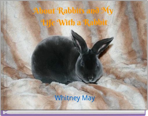 About Rabbits and My Life With a Rabbit