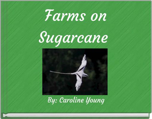Farms on Sugarcane