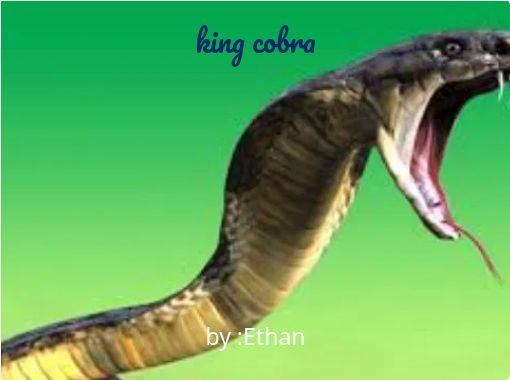 "king cobra" - Free stories online. Create books for kids | StoryJumper