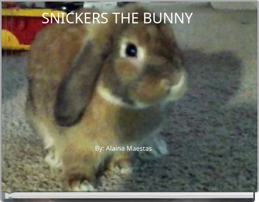 SNICKERS THE BUNNY