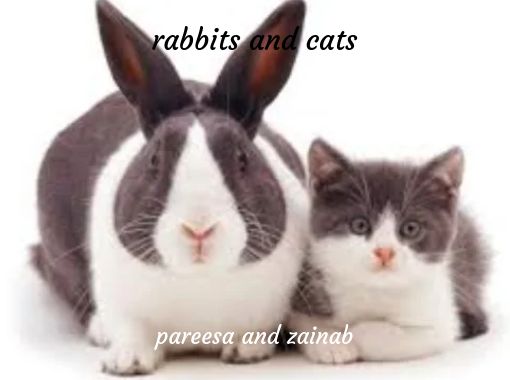 "rabbits and cats" Free stories online. Create books for kids