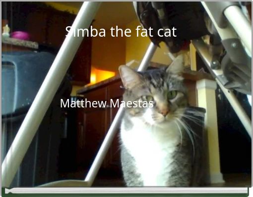 Simba the fat cat