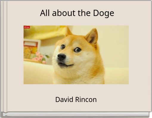 All about the Doge