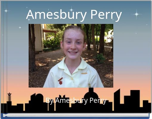 Amesbury Perry
