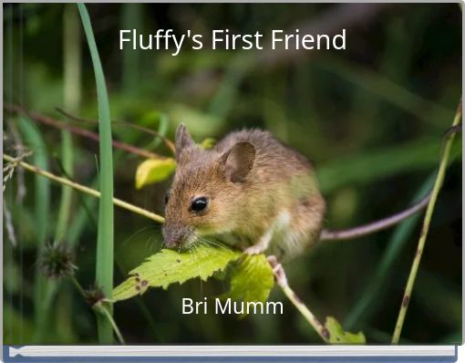 Fluffy's First Friend