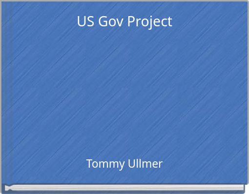 US Gov Project