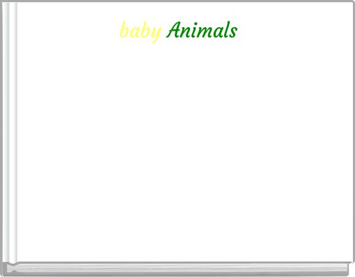 baby Animals