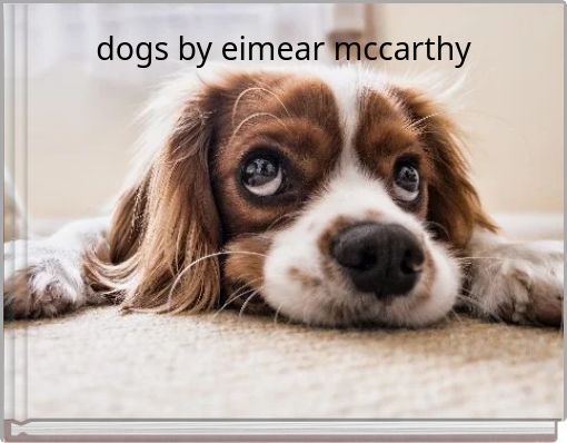 dogs by eimear mccarthy