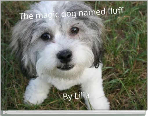 The magic dog named fluff By Lilia