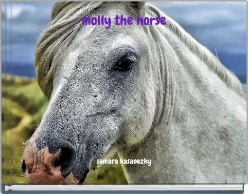 molly the horse