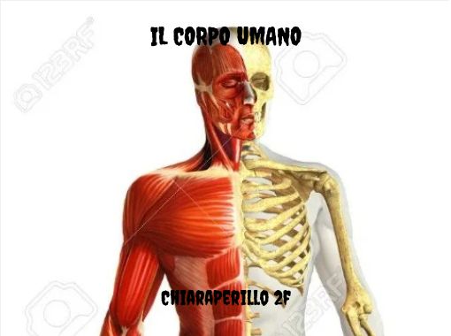 Il Corpo Umano Free Stories Online Create Books For Kids Storyjumper