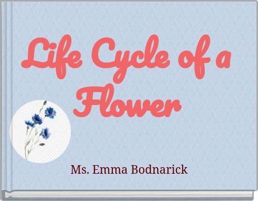 Life Cycle of a Flower