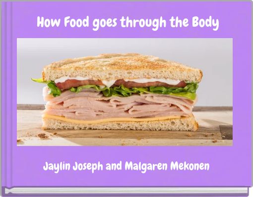 How Food goes through the Body