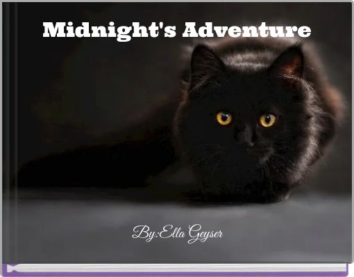 Midnight's Adventure