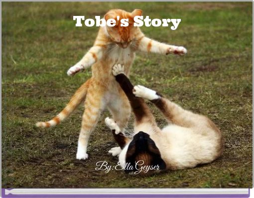 Tobe's Story