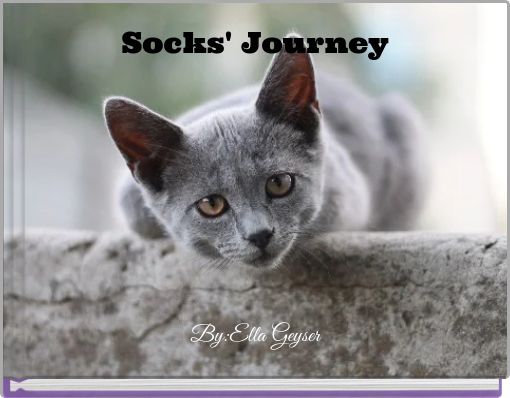 Socks' Journey