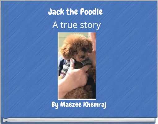 Jack the PoodleA true story