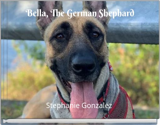 Bella, The German Shephard