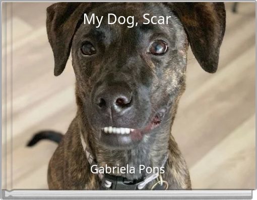 My Dog, Scar