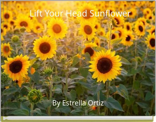 Lift Your Head Sunflower