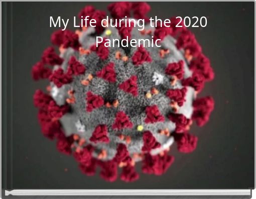 My Life during the 2020 Pandemic