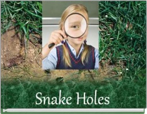 Snake Holes