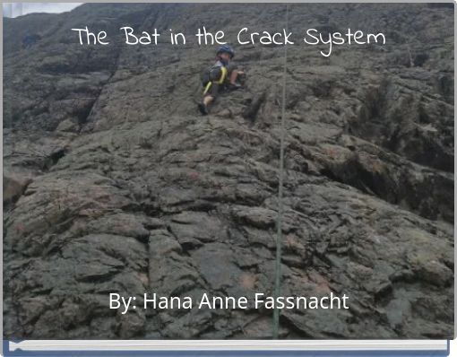 The Bat in the Crack System